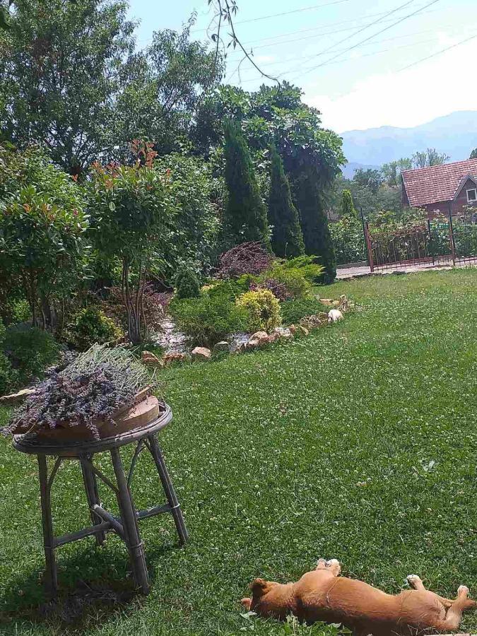 Villa Silva Ohrid Eksteriør bilde