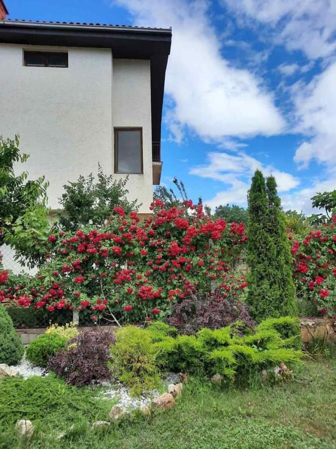 Villa Silva Ohrid Eksteriør bilde