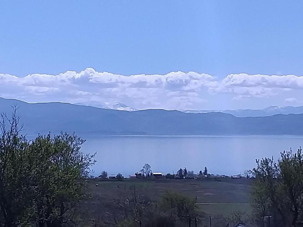 Villa Silva Ohrid Eksteriør bilde